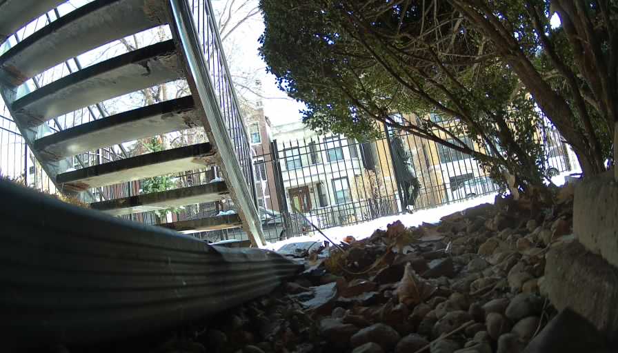 Reolink Camera Two_01_Reolink Home Hub One_20250111113242.jpg